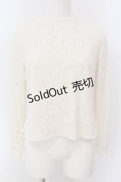 画像1: an another angelus / チュールレースプルオーバーブラウス  アイボリー O-25-03-20-2025-CA-BL-IG-OS