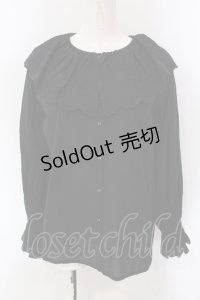 FELISSIMO / アデリアレトロ×シロップ．野ばな柄を刺しゅうした　レース衿のブラウス M クロ O-25-03-26-1040-EL-BL-OW-ZT0329D