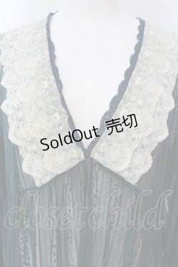 画像2: axes femme / リュクスレースガウン F グリーン O-25-03-29-046-AX-TO-OW-OS