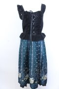 axes femme / ガーベラ＆オータムローズワンピース F グリーン×クロ O-25-04-04-069-AX-OP-OW-OS