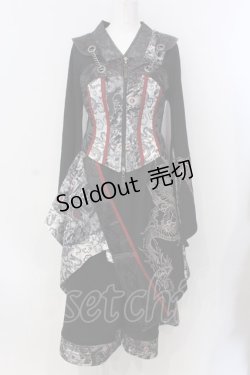 画像1: Qutie Frash / 2020 プレミアム"銀龍"-GINRYU-フルセット  ブラック×シルバー O-25-04-05-034-QU-OP-OW-OS