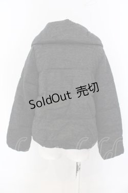 画像2: Fi.n.t / ダウンコート F グレー O-25-04-07-044-CA-CO-OW-ZT-C004