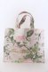 画像1: JESUS DIAMANTE / ディアマンテプリンセスツアーBAG  メリーベルローズ柄ピンク O-25-04-11-010-JE-BG-OW-OS (1)