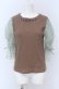 画像1: Maison de FLEUR Petite Robe canone / フルーツフィルのキャンディーカットソー M ブラウン O-25-04-13-072-EL-TO-OW-OS (1)