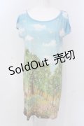 【SALE】Franche Lippee / シークレットガーデンフレンチTシャツ M サックス O-25-04-17-050-LO-TO-IG-ZT045