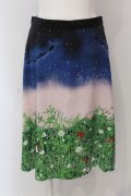 Franche Lippee / 野いちごスカート M クロ O-25-04-17-053-LO-SK-IG-ZT073