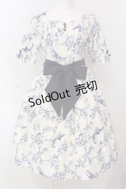 画像1: axes femme kawaii / カトルオワジヨンワンピース  シロ×アオ O-25-04-17-008-AX-OP-IG-OS