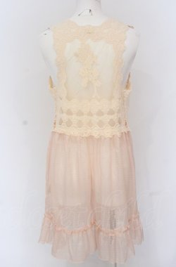 画像2: axes femme / チュールジレ M ピンクベージュ O-25-04-20-061-AX-TO-IG-OS