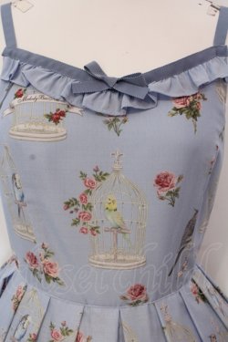 画像2: Melody BasKet / 鳥籠と薔薇のジャンパースカート  サックス O-25-04-26-024-LO-OP-IG-OS
