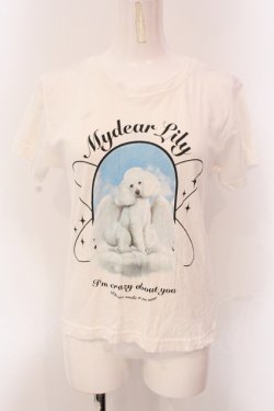 画像1: Candy Stripper / MY DEAR LILY Tシャツ 1 ホワイト O-25-05-08-051-PU-TS-IG-OS