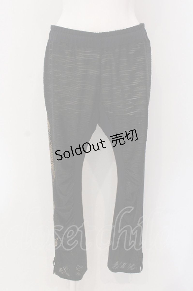 画像1: Qutie Frash / ゼブラシースルーパンツ  ブラック O-25-05-10-009-QU-PA-IG-ZI (1)