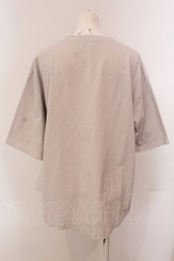 画像2: RNA / ピグメントダイＴ M グレー O-25-05-13-048-PU-TO-OW-OS