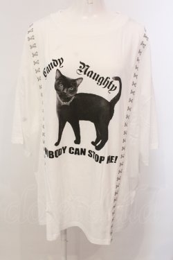 画像1: Candy Stripper / NOBODY CAN STOP ME Tシャツ 2 ホワイト O-25-05-15-080-PU-TS-YM-OS