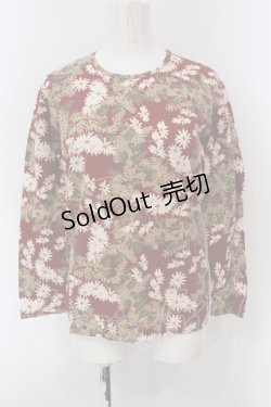 画像1: PINK HOUSE / マーガレットカットソー  アカ O-25-05-26-051-LO-TO-OW-OS
