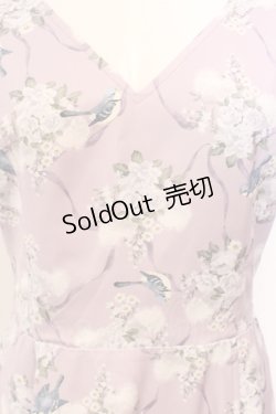 画像2: axes femme POETIQUE / フロレゾンロングワンピース M ラベンダー O-25-05-29-007-AX-OP-IG-ZT085