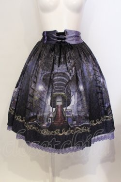 画像1: axes femme kawaii / リブラリーアスカート  パープル O-25-05-29-002-AX-SK-IG-OS