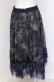画像2: axes femme NOSTALGIE / チュールイレヘムスカート M ネイビー O-25-05-31-1066-AX-SK-OW-OS (2)
