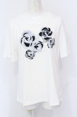 画像1: INGEBORG / ロゴプリントTシャツ  シロ O-25-05-31-1038-LO-TS-IG-OS