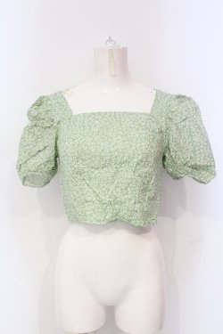 画像1: Candy Stripper / INY FLOWER PUFF SLEEVE トップス  グリーン O-25-06-03-009-PU-TO-OW-OS