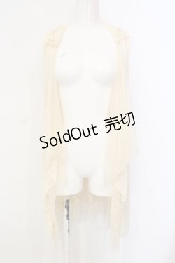 画像1: axes femme / レースドットチュールジレ M 生成り O-25-06-09-075-AX-TO-IG-OS