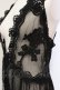 画像2: axes femme / チュールジレ M クロ O-25-06-09-080-AX-TO-IG-OS (2)