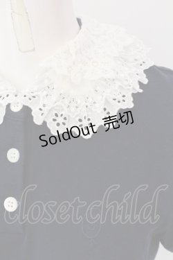 画像2: Jane Marple / レースカラーポロシャツ  ネイビー O-25-06-26-082-JM-TO-OW-OS