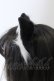 画像2: 星箱works / 猫とまどろむ日々　ねこみみカチューシャ  クロ O-25-06-28-089-PU-AC-IG-OS (2)