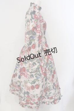 画像2: マダラニンゲン / Strange cherry and howl rabbit long dress ドレス  ピンク O-25-06-30-095-PU-OP-YM-OS