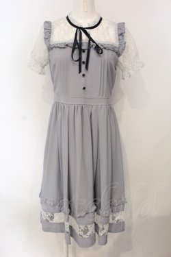 画像1: axes femme POETIQUE / レースビスチェ切り替えワンピ  グレー O-25-07-05-069-AX-OP-IG-OS