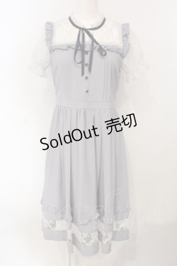 画像1: axes femme POETIQUE / レースビスチェ切り替えワンピ  グレー O-25-07-05-069-AX-OP-IG-OS