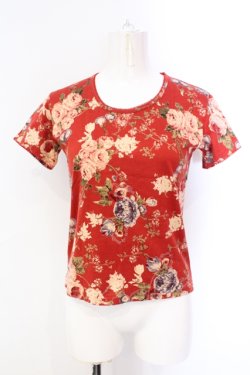 画像1: WONDERFUL WORLD / ローズ柄Tシャツ  アカ O-25-07-08-060-LO-TS-IG-OS