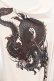 画像2: Qutie Frash / 和柄ラグランカットソー  ホワイト O-25-07-14-059-QU-TO-IG-OS (2)