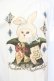 画像2: Enchantlic Enchantilly / 不思議の国のQueen Cat 帽子屋のシルクハット Tシャツ M ホワイト O-25-07-14-065-LO-TS-IG-OS (2)