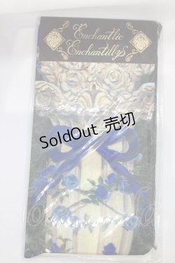 画像1: Enchantlic Enchantilly / エンタシスローズタイツ  ブルー O-25-07-17-1009-LO-ZA-IG-ZT168-F004