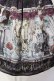 画像2: ALICE and the PIRATES / 不思議な奇術師と魔法の夜スカート  パープル O-25-07-17-080-PA-SK-OW-OS (2)
