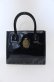 画像1: metamorphose / スワンエンブレムエナメルトートBAG バッグ  ブラック O-25-07-19-003-ME-BG-IG-OS (1)