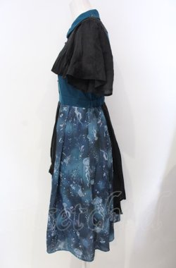 画像2: axes femme POETIQUE / ダークマリンバイカラーワンピース  グリーン×ブラック O-25-07-29-052-AX-OP-IG-OS