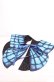 画像1: Royal Princess Alice / Fairy Butterfly2025　つけ襟  アオ×クロ O-25-07-31-1058-LO-ZA-OW-OS (1)