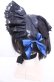 画像2: Royal Princess Alice / Fairy Butterfly2025　ボンネット  クロ×アオ O-25-07-31-1052-LO-AC-OW-OS (2)