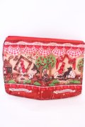 BABY,THE STARS SHINE BRIGHT / e-MOOK 『赤ずきん』大型ポーチ  Little Red Riding Hood柄 O-25-08-02-1017-BA-ZA-IG-OS