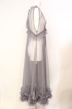 画像2: axes femme / レイヤード用チュールワンピース  グレー O-25-08-07-065-AX-OP-IG-OS