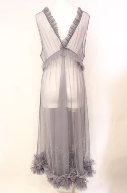 画像3: axes femme / レイヤード用チュールワンピース  グレー O-25-08-07-065-AX-OP-IG-OS