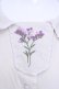 画像2: Fi.n.t / スターチス刺繍レース使いブラウス  ベージュ O-25-08-09-1001-CA-BL-IG-OS (2)