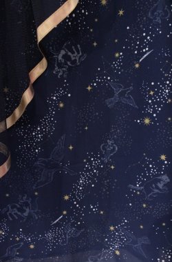画像2: axes femme / 星座柄チュールフリルスカート  ネイビー O-25-08-11-062-AX-SK-IG-OS