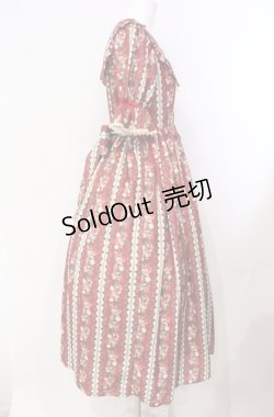 画像3: axes femme kawaii / ローズベリーガーデンワンピース  アカ O-25-08-11-024-AX-OP-IG-OS
