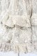画像2: FRILL / ボリュームパニエスカート  ブラウン O-25-08-16-094-HN-SK-IG-OS (2)