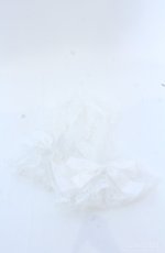画像1: ATELIER PIERROT / レースグローブ　ショート丈　指ぬき  ホワイト O-25-08-18-037-EL-ZA-IG-ZT488-F006 (1)
