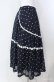 画像3: Jane Marple Dans Le Salon / Sprinkled flowers lace trimming skirt　スカート M クロ O-25-08-21-070-JM-SK-IG-OS (3)