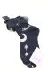 画像2: Angelic Pretty / Misty Skyクルー丈ソックス  ネイビー O-25-08-25-008-AP-ZA-IG-OS (2)