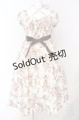 Victorian maiden / Afternoonベリーヘンリエッタドレス  ローズ O-25-08-26-065-CL-OP-OW-OS